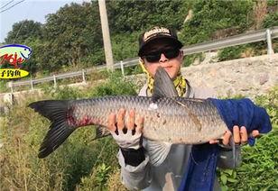 青鱼视频国产在线,国产在线影视盛宴，尽享视听盛宴