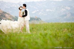 青青青草国产免费观看,国产免费观看，绿色生态影视盛宴