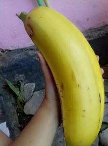 91大香蕉国产,揭秘神秘国度的风土人情